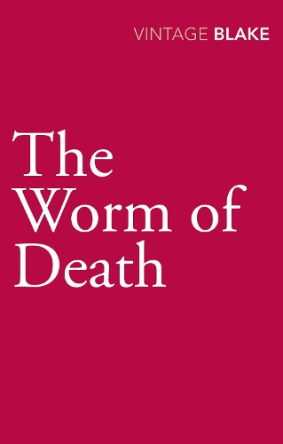 Бумажная книга «The Worm of Death», автор Николас Блейк - фото №1