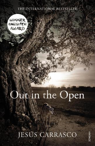 Бумажная книга «Out in the Open» - фото №1