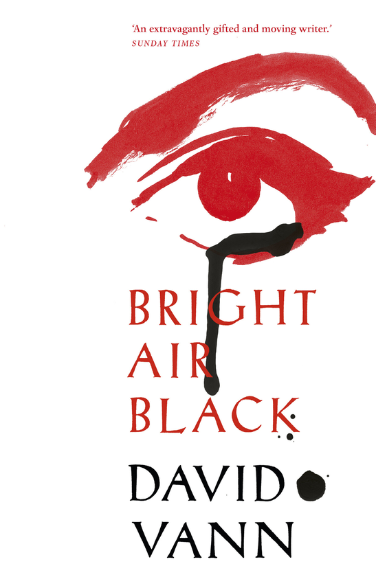 Бумажная книга «Bright Air Black», автор Дэвид Ванн - фото №1