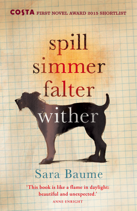Бумажная книга «Spill Simmer Falter Wither», автор Сара Баум - фото №1