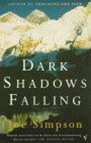 Паперова книга «Dark Shadows Falling» - фото №1