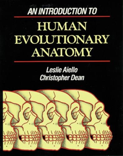 Бумажная книга «An Introduction to Human Evolutionary Anatomy», авторов Кристофер Дин, Лесли Айелло - фото №1