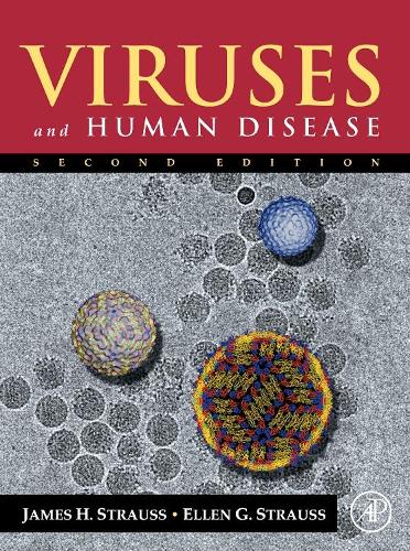 Бумажная книга «Viruses and Human Disease», авторов Эллен Г. Штраус, Джеймс Х. Штраус - фото №1