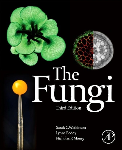 Паперова книга «The Fungi», авторів Лінн Бодді, Ніколас Мані, Сара С. Воткінсон - фото №1