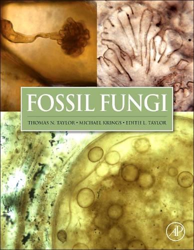 Бумажная книга «Fossil Fungi», авторов Эдит Л. Тейлор, Майкл Крингс, Томас Н. Тейлор - фото №1