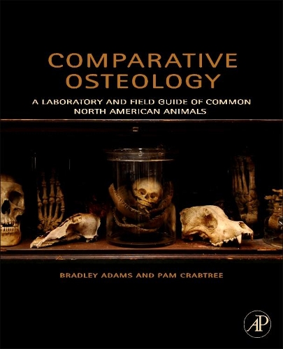 Бумажная книга «Comparative Osteology: A Laboratory and Field Guide of Common North American Animals», авторов Брэдли Адамс, Пэм Крэбтри - фото №1