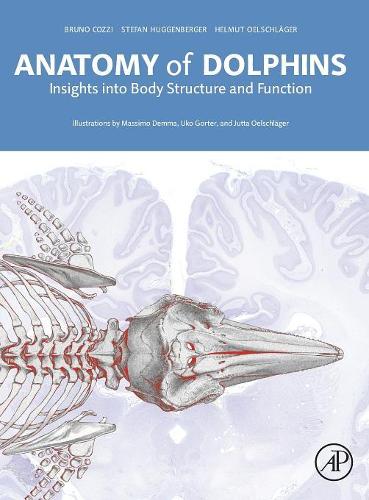 Бумажная книга «Anatomy of Dolphins: Insights into Body Structure and Function», авторов Бруно Коцци, Гельмут А. Оэльшлегер, Штефан Хуггенбергер - фото №1