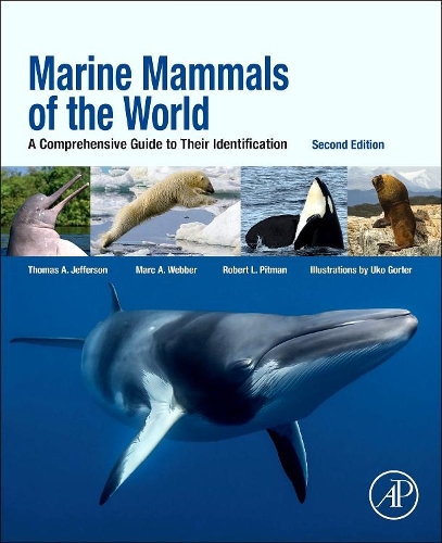 [object Object] «Marine Mammals of the World: A Comprehensive Guide to Their Identification», авторов Марк А. Веббер, Роберт Л. Питман, Томас Аллен Джефферсон - фото №1