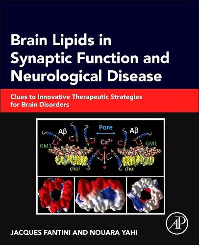 Бумажная книга «Brain Lipids in Synaptic Function and Neurological Disease: Clues to Innovative Therapeutic Strategies for Brain Disorders», авторов Жак Фантини, Нуара Яхи - фото №1