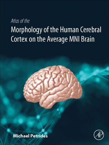 Бумажная книга «Atlas of the Morphology of the Human Cerebral Cortex on the Average MNI Brain», автор Майкл Петридес - фото №1