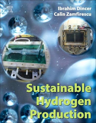 Бумажная книга «Sustainable Hydrogen Production», авторов Калин Замфиреску, Ибрагим Динсер - фото №1