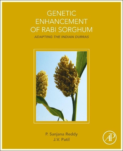 Паперова книга «Genetic Enhancement of Rabi Sorghum: Adapting the Indian Durras», авторів Дж.V. Патіл, Санджана Редді - фото №1