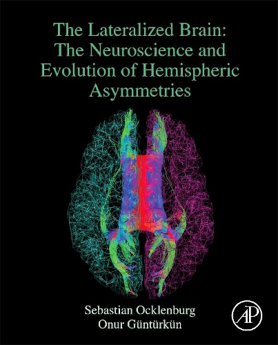 Бумажная книга «The Lateralized Brain: The Neuroscience and Evolution of Hemispheric Asymmetries», авторов Онур Гюнтюркюн, Себастьян Окленбург - фото №1