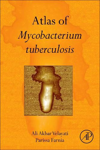 Бумажная книга «Atlas of Mycobacterium Tuberculosis», авторов Али Акбар Велаяти, Парисса Фарния - фото №1