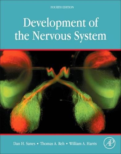 [object Object] «Development of the Nervous System», авторов Дэн Х. Сэйнс, Маттиас Ландграф, Томас А. Ре, Уильям А. Харрис - фото №1