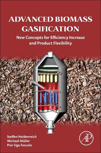 Бумажная книга «Advanced Biomass Gasification: New Concepts for Efficiency Increase and Product Flexibility», авторов Майкл Мюллер, Пьер Уго Фосколо, Штеффен Хайденрайх - фото №1