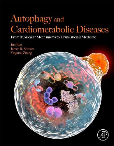 Бумажная книга «Autophagy and Cardiometabolic Diseases: From Molecular Mechanisms to Translational Medicine», авторов Джеймс Р. Соуэрс, Цзюнь Рен, Иньмэй Чжан - фото №1