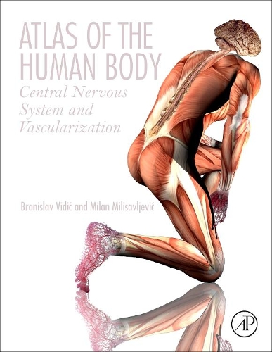 Паперова книга «Atlas of the Human Body: Central Nervous System and Vascularization», авторів Браніслав Відіч, Мілан Мілісавлевич - фото №1