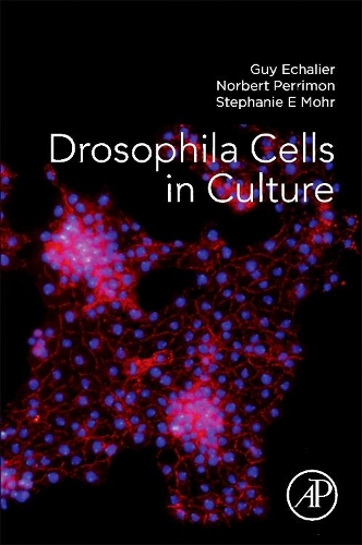 Бумажная книга «Drosophila Cells in Culture», авторов Ги Эшалье, Норберт Перримон, Стефани Е. Мор - фото №1