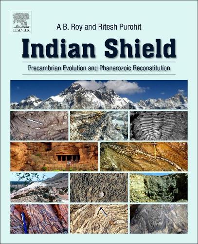 Бумажная книга «Indian Shield: Precambrian Evolution and Phanerozoic Reconstitution», авторов А.Б. Рой, Ритеш Пурохит - фото №1
