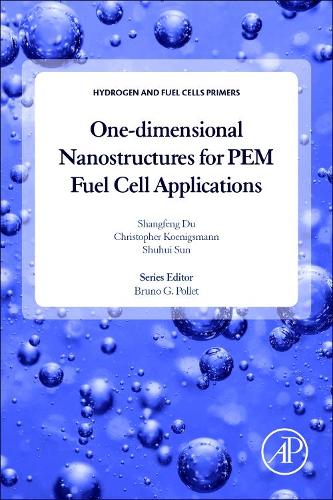 Бумажная книга «One-dimensional Nanostructures for PEM Fuel Cell Applications», авторов Кристофер Кенигсманн, Шаньфэн Ду, Шухуэй Сунь - фото №1