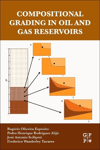 Бумажная книга «Compositional Grading in Oil and Gas Reservoirs», авторов Фредерико Вандерлей Таварес, Хосе Антонио Сцилипоти, Педро Энрике Родригес Алихо, Рожерио Оливейра Эспозито - фото №1