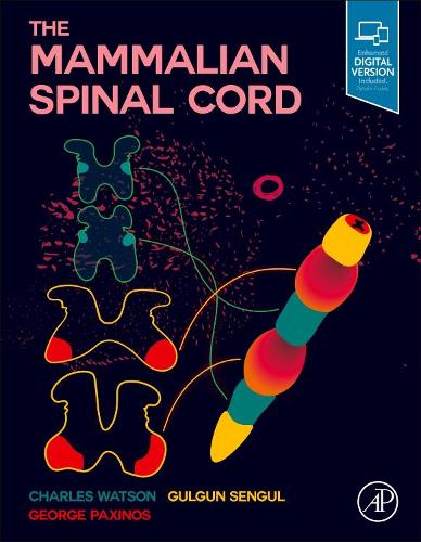 Паперова книга «The Mammalian Spinal Cord», авторів Чарльз Уотсон, Джордж Паксінос, Гюльгун Сенгул - фото №1