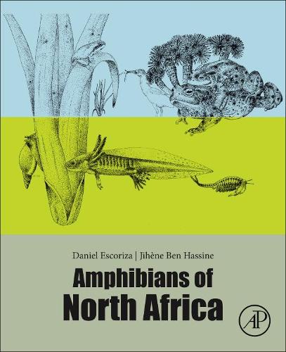 Бумажная книга «Amphibians of North Africa», авторов Дэниел Эскориза, Джихен Бен Хассин - фото №1