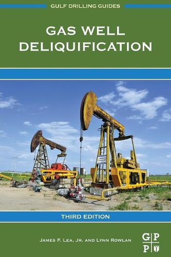 Бумажная книга «Gas Well Deliquification», авторов Джеймс Ф. Лиа мл., Линн Роулан - фото №1