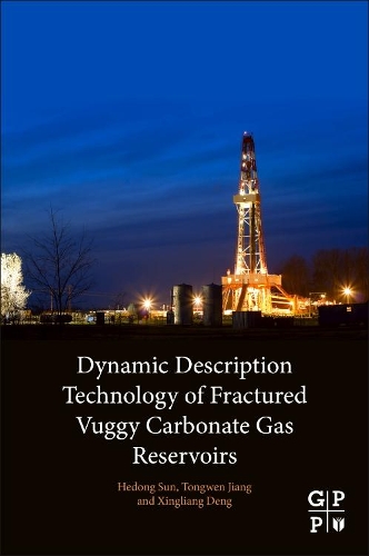 Бумажная книга «Dynamic Description Technology of Fractured Vuggy Carbonate Gas Reservoirs», авторов Хедонг Сун, Тонгвен Цзян, Синьлян Дэн - фото №1