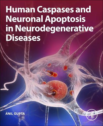Бумажная книга «Human Caspases and Neuronal Apoptosis in Neurodegenerative Diseases», автор Анил Гупта - фото №1