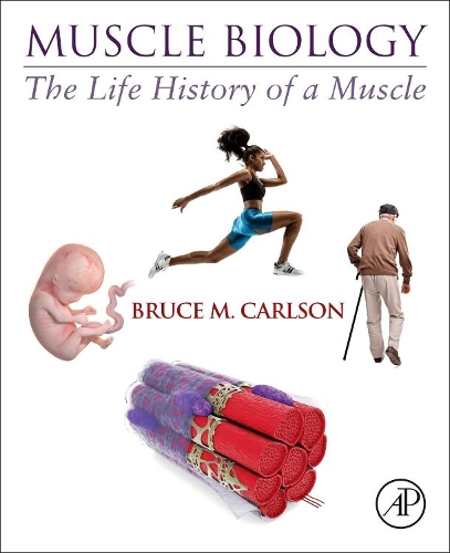 Паперова книга «Muscle Biology: The Life History of a Muscle», автор Брюс М. Карлсон - фото №1