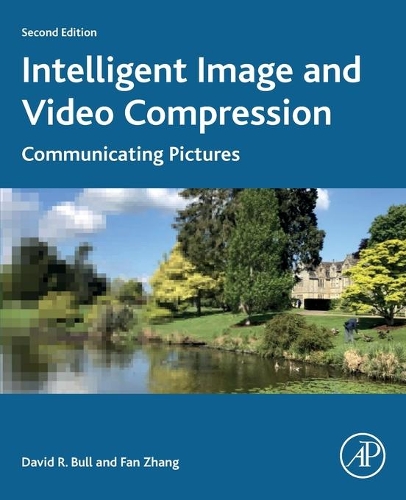 Бумажная книга «Intelligent Image and Video Compression: Communicating Pictures», авторов Дэвид Булл, Фань Чжан - фото №1