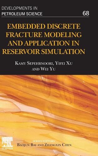 Паперова книга «Embedded Discrete Fracture Modeling and Application in Reservoir Simulation», авторів Камі Сепернурі, Вей Юй, Іфей Сюй - фото №1