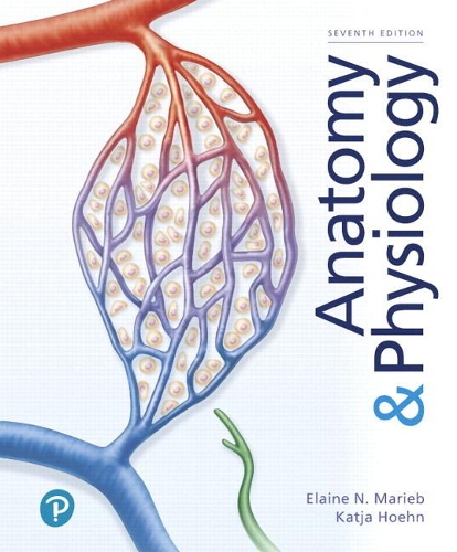 Паперова книга «Anatomy & Physiology», авторів Елейн Маріб, Катя Хьон - фото №1