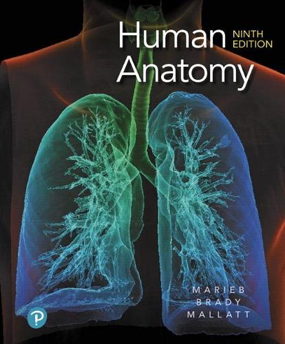 Бумажная книга «Human Anatomy», авторов Элейн Мариб, Джон Маллатт, Патриция Вильгельм - фото №1