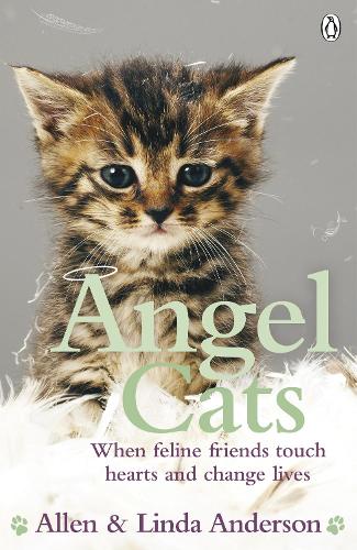 Бумажная книга «Angel Cats», авторов Аллен Андерсон, Линда Андерсон - фото №1