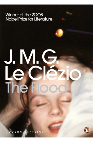 Бумажная книга «The Flood» - фото №1