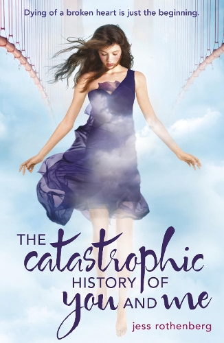 Паперова книга «The Catastrophic History of You and Me», автор Джесс Ротенберг - фото №1
