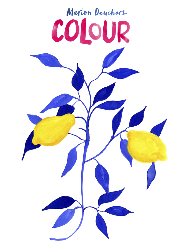 Бумажная книга «Colour», автор Марион Дойчарс - фото №1