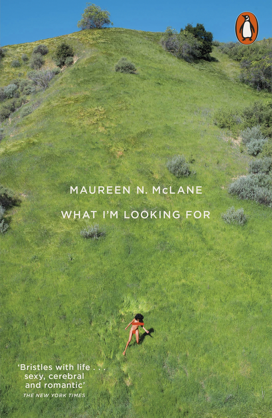 Бумажная книга «What I'm Looking For. Selected Poems 2005–2017», автор Морин Н. Маклейн - фото №1