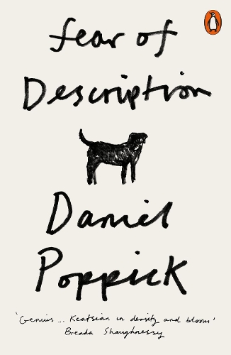 Паперова книга «Fear of Description», автор Деніел Поппік - фото №1