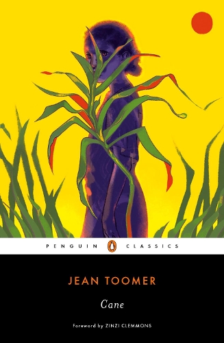 Паперова книга «Cane» - фото №1