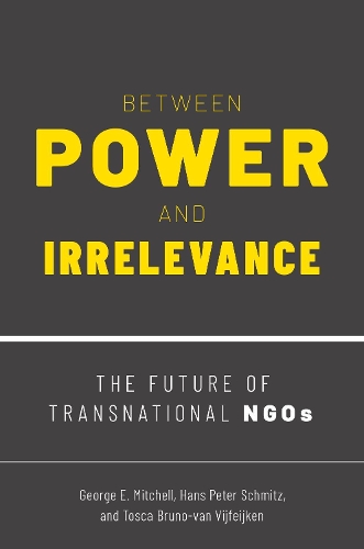 Бумажная книга «Between Power and Irrelevance: The Future of Transnational NGOs», авторов Джордж Э. Митчелл, Ганс Петер Шмитц - фото №1
