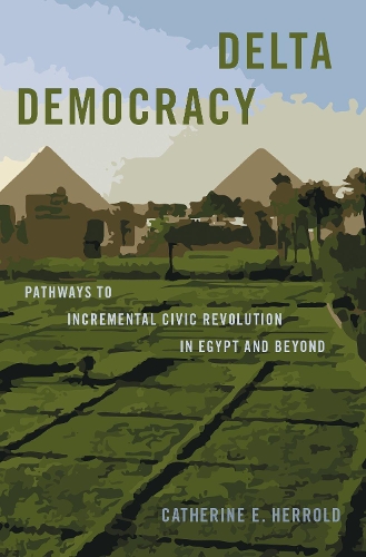 Бумажная книга «Delta Democracy: Pathways to Incremental Civic Revolution in Egypt and Beyond», автор Кэтрин Э. Херрольд - фото №1