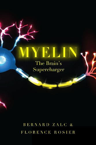 Бумажная книга «Myelin: The Brain's Supercharger», авторов Бернард Зальк, Флоренция Розье - фото №1
