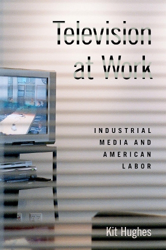 Бумажная книга «Television at Work: Industrial Media and American Labor», автор Кит Хьюз - фото №1