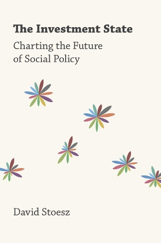 Паперова книга «The Investment State: Charting the Future of Social Policy», автор Девід Стоесс - фото №1