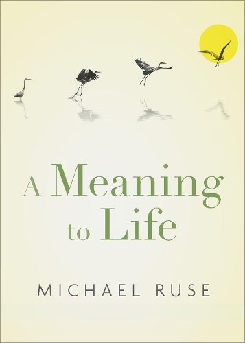 Бумажная книга «A Meaning to Life», автор Майкл Русе - фото №1