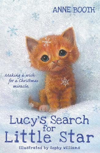Бумажная книга «LUCY'S SEARCH FOR LITTLE STAR PB» - фото №1
